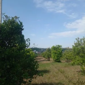 باغ با چشم‌انداز زیبا در روستای لالیم ساری