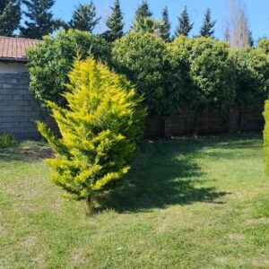 زمین شهرکی جهت سرمایه گذاری