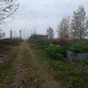 فروش ۵۰۰ متر زمین شهرکی در سرخرود