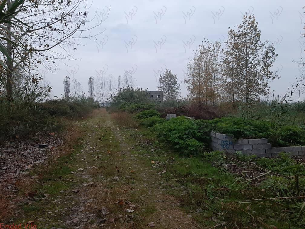 فروش ۵۰۰ متر زمین شهرکی در سرخرود