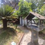 اجاره روزانه آپارتمان ساحلی 100 قدمی ساحل