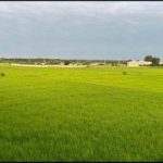 فروش ویلا مدرن استخردار شهرک برند و معتبر