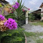 ویلا باغ هزار متری