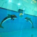 ویلا مدرن سند دار مازندران نزدیک جنگل و دریا مالکم