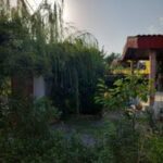 اجاره ویلا فلت حیاط دار مبله سرخرود حاجیکلا