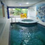 ویلا 420 متر استخر داخلی سنددار سرخرود