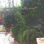 ویلا دوبلکس سند6دانگ درویش آباد نزدیک دریا