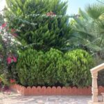 ویلا دوبلکس سند6دانگ درویش آباد نزدیک دریا