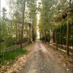 ویلا شهرکی 250 متر فول مبله سنددار سرخرود