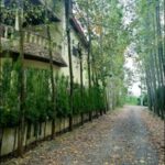 ویلا شهرکی 250 متر فول مبله سنددار سرخرود