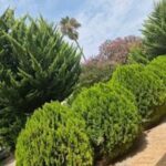 فروش یا معاوضه با تهران/۱۲۰۰ مترمربع ویلا (شهرکی)