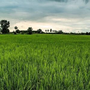 فروش زمین در شهرک آماده‌