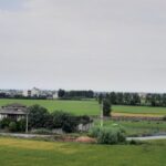 زمین شهرکی/جواز ساخت/جنگلی