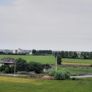 زمین شهرکی/جواز ساخت/جنگلی