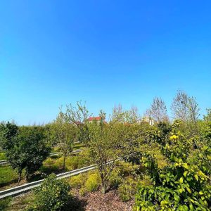 سرمایه گذاری ۱۰۰٪سود+اقساط بدون بهره*زمین شهرکی