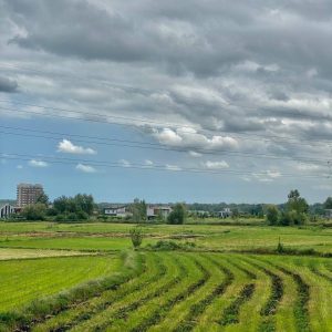 زمین مسکونی*سنددار اقساط۲۰ماه بخر*امروز بساز*ساحلی