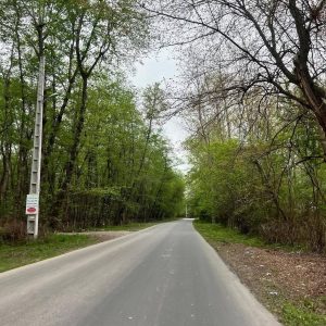 پلاک جنگلی خوش قواره*به قی مت اقساط تا یکسال