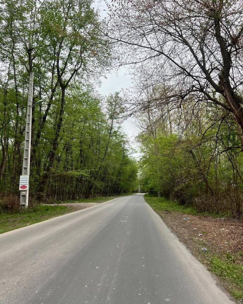 پلاک جنگلی خوش قواره*به قی مت اقساط تا یکسال