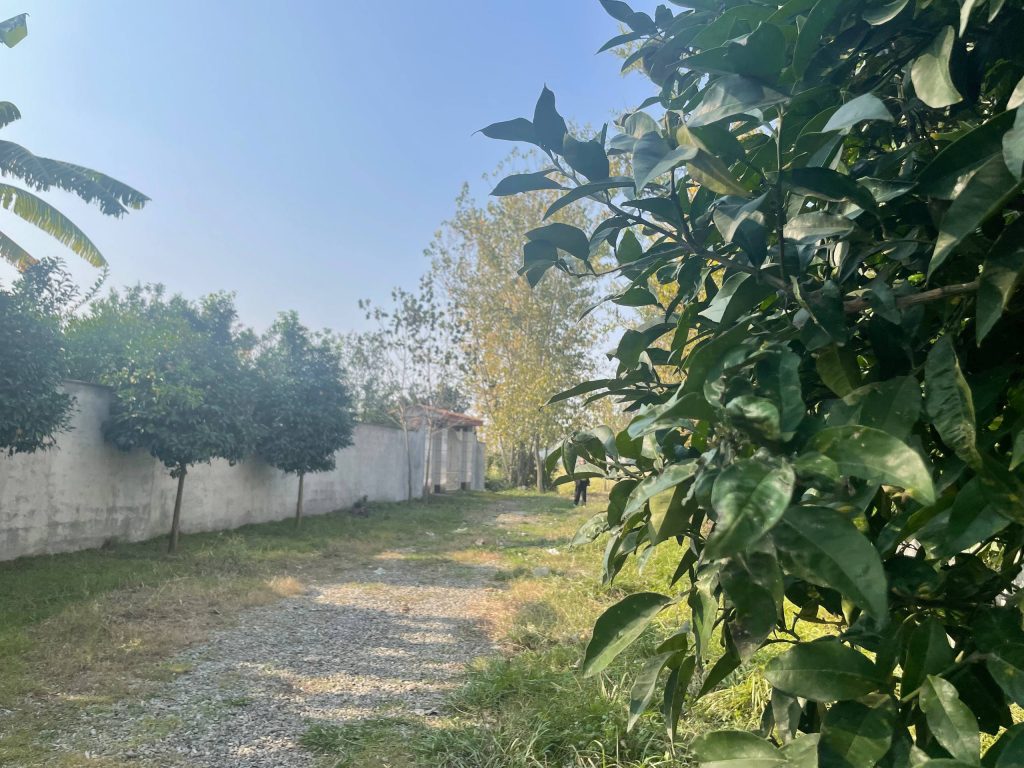 زمین مسکونی/سند تک برگ/انشعابات تکمیل