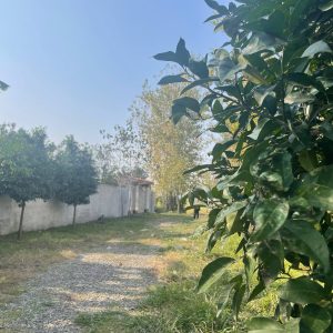 زمین مسکونی/سند تک برگ/انشعابات تکمیل