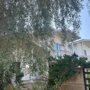 سند تک‌برگ / ثبت از ابتدا در کاتب