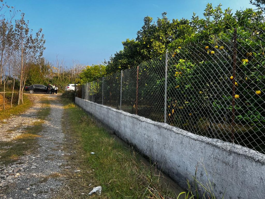 250متر*سنددار*قابل ساخت کلبه سوئیسی نزدیک به دریا