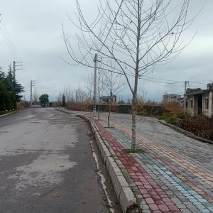 ۳۰۰ متر زمین شهرکی /اسناد ومدارک کامل /نزدیک به دریا