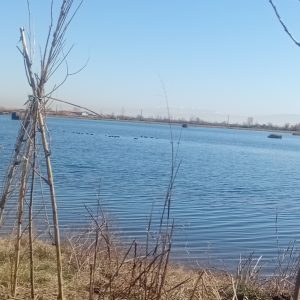 ۲۱۰متر زمین اقساطی وشهرکی /ویو دریاچه /مخصوص کلبه
