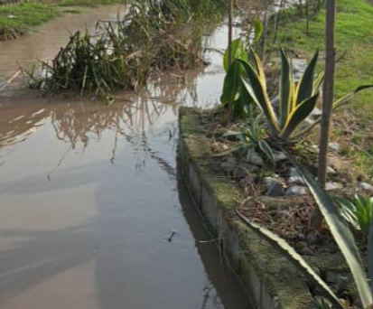 ۲۰۰ متر زمین شهرکی /اقساط/محیطی ارام ودلنشین /دسترسی به امکانات رفاهی