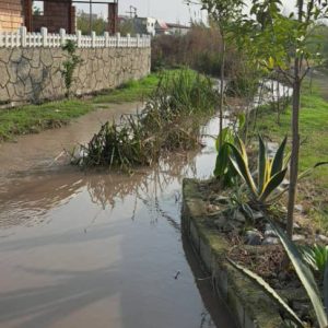 ۲۰۰ متر زمین شهرکی /اقساطی /سند تک برگ