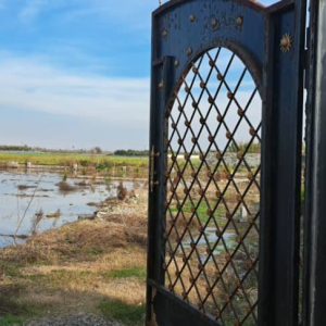 ۲۲۱متر زمین شهرکی در کنار رودخانه زیبا /اقساطی/سند دار