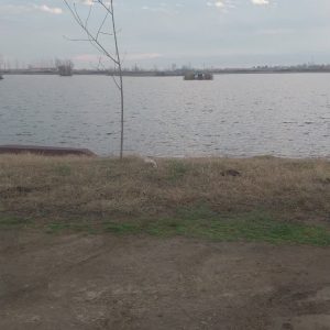 ۱۹۸ متر زمین شهرکی /اقساط /اسناد ومدارک کامل /مخصوص Lsfوکلبه سویسی