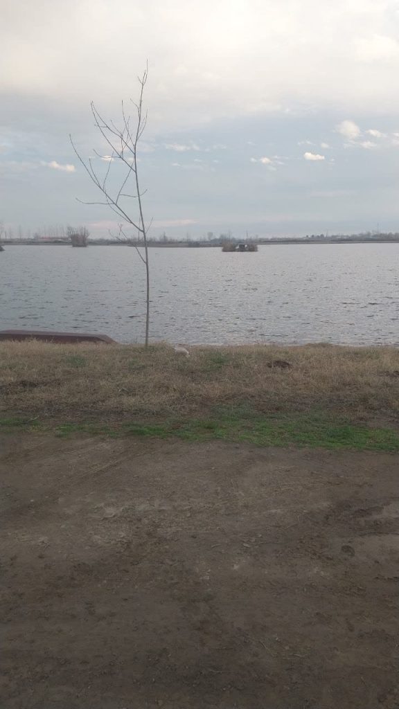 ۱۹۸ متر زمین شهرکی /اقساط /اسناد ومدارک کامل /مخصوص LSFوکلبه سویسی