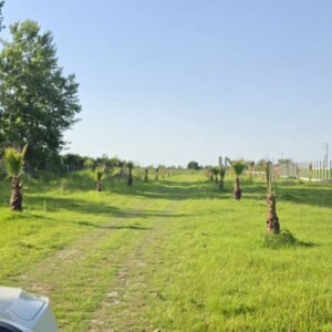 فروش زمین مسکونی مازندران