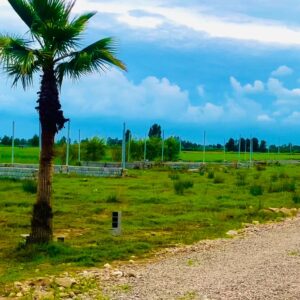 فروش زمین مسکونی سنددار مازندران