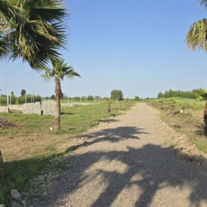 فروش زمین مسکونی سنددار مازندران