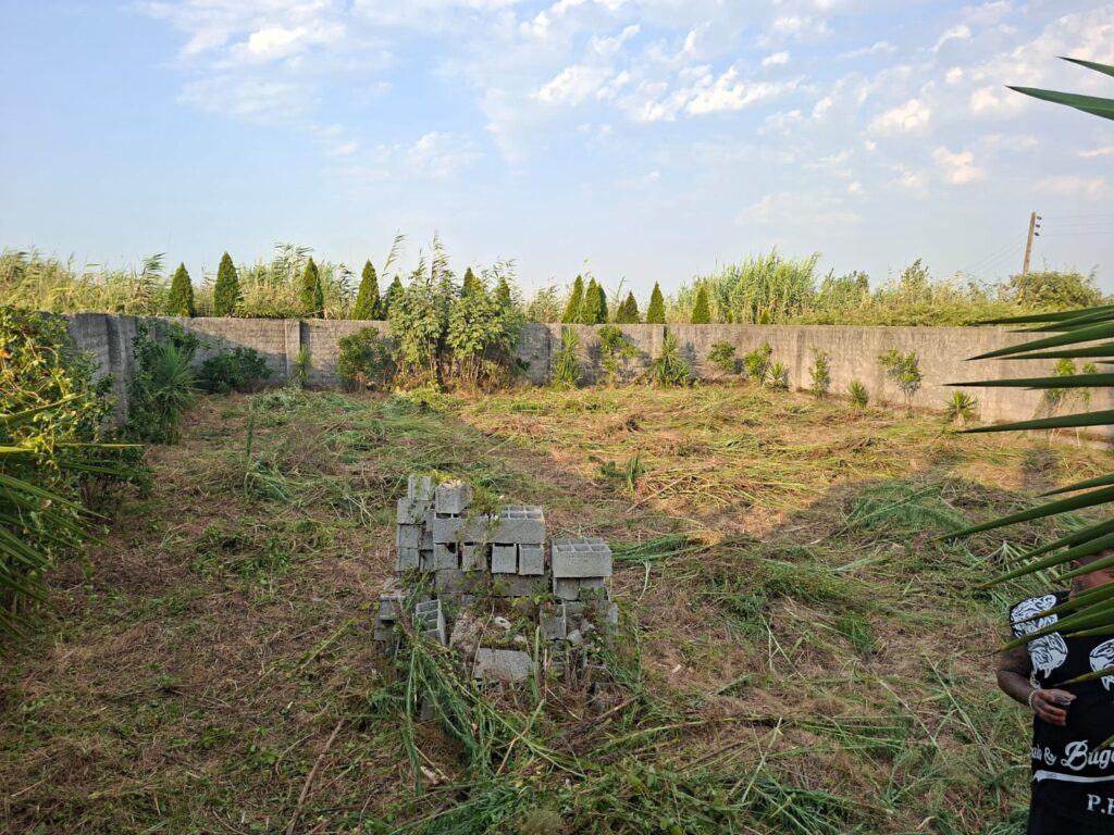 زمین سرمایه گذاری در شمال اقساطی سندار