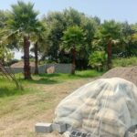 🌲 فروش زمین در دل طبیعت سرسبز شمال