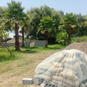 🌲 فروش زمین در دل طبیعت سرسبز شمال